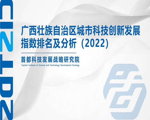 操逼扣咪咪视频【成果发布】广西壮族自治区城市科技创新发展指数排名及分析（2022）